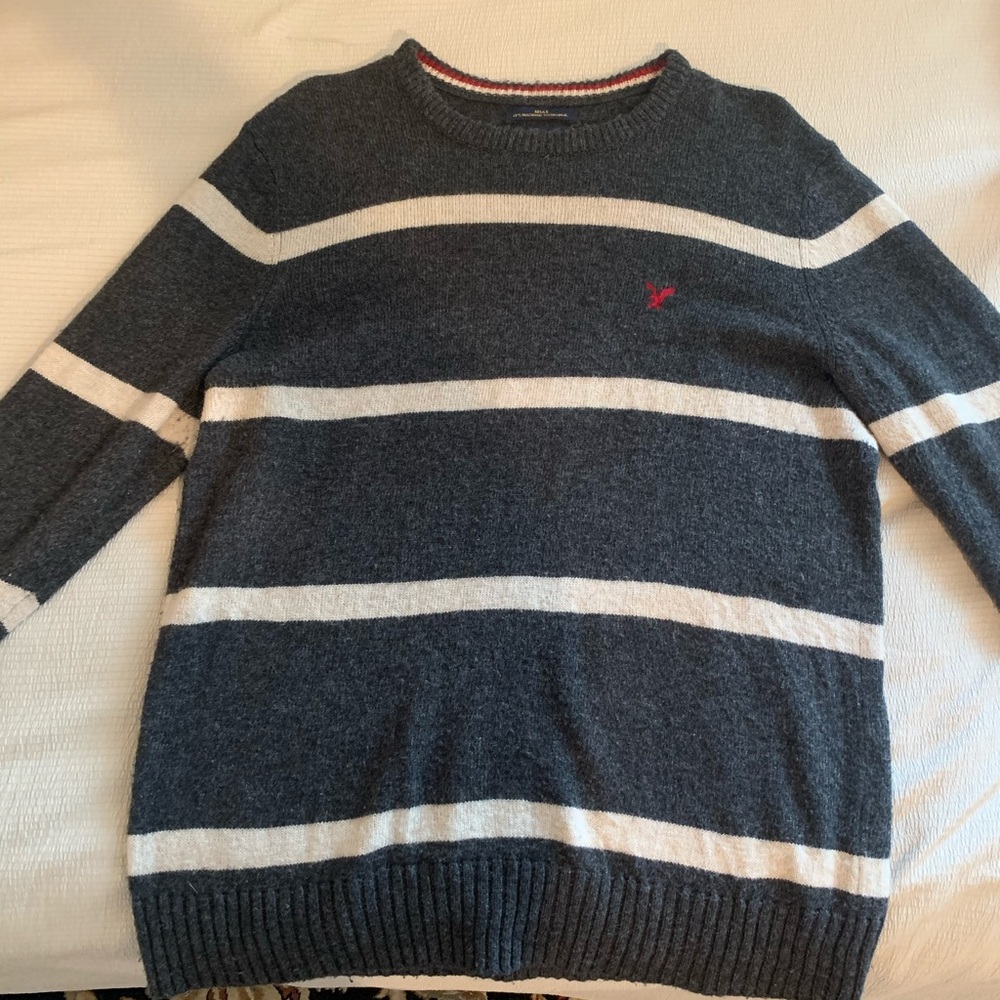 Athletic Fit American Eagle Wool Sweater